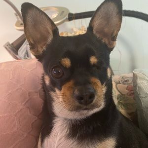 Meet your Posher, Sandra